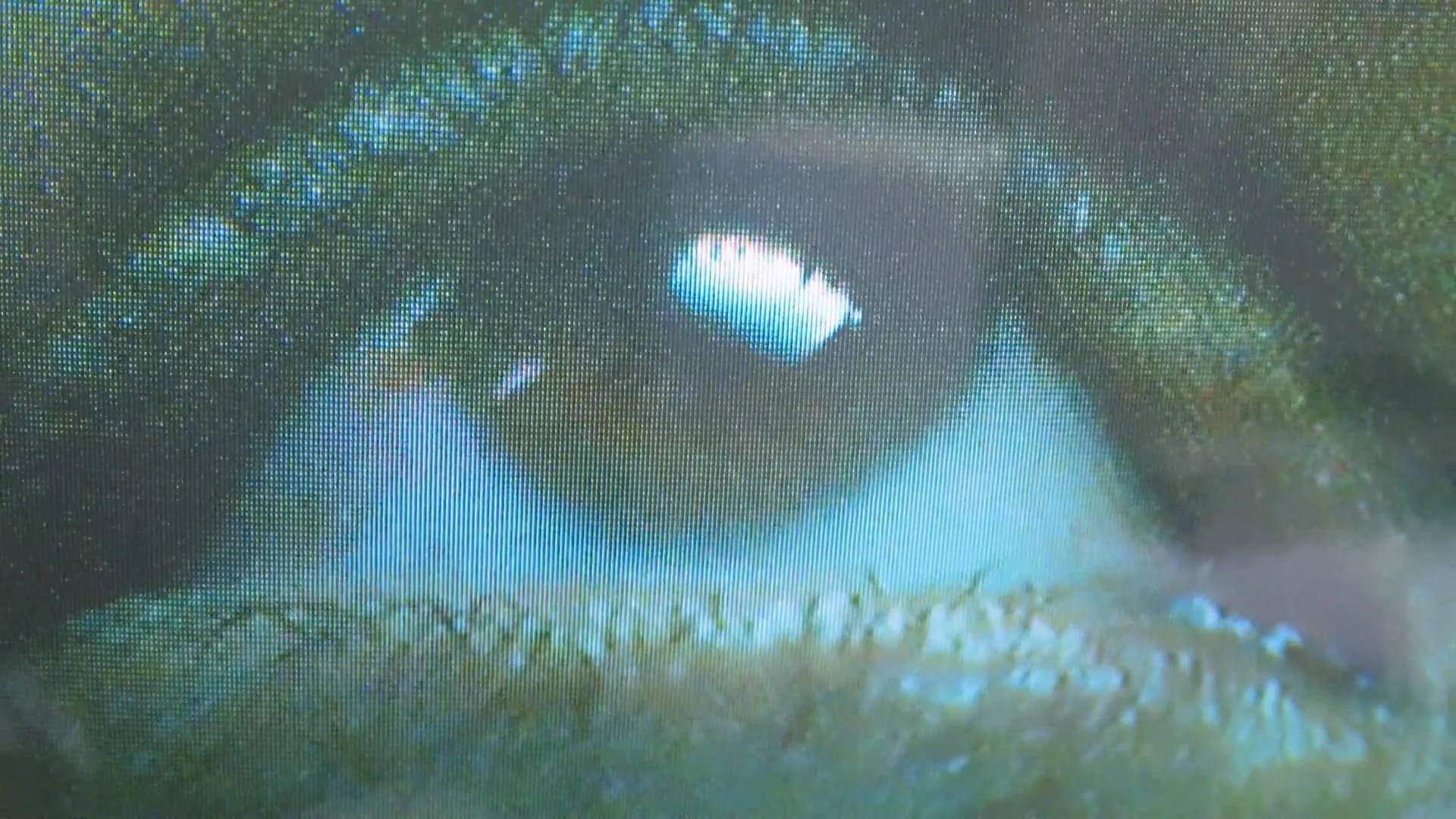 Still from Q. Studio — We change the game