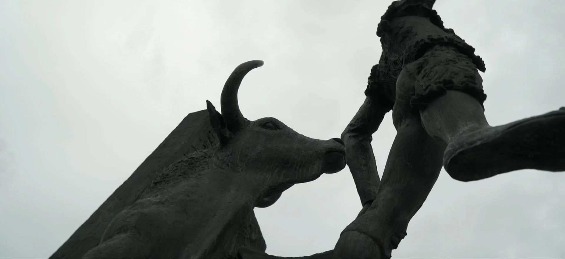 Toro Blanco — still 2