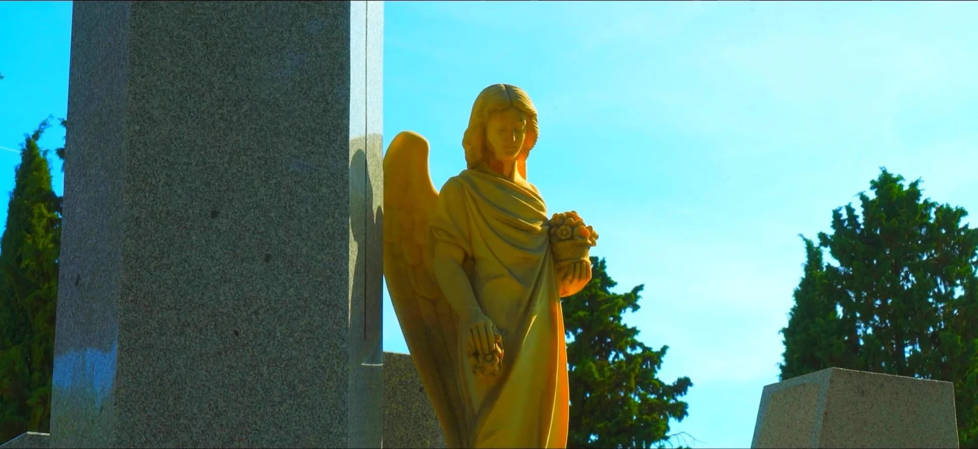 Still from Van Lotus — Toro Blanco
